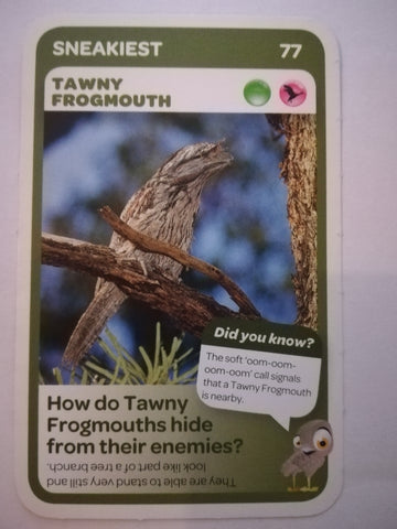 Pick n Pay South African Super Animals (Blue) - Card 77 - Tawny Frogmouth