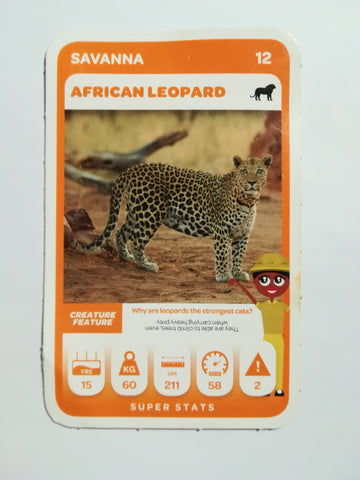 Pick n Pay South African Super Animals (Blue) - Card 78 - African Leopard