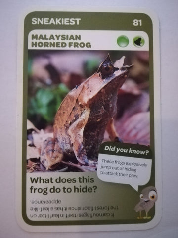Pick n Pay South African Super Animals (Blue) - Card 81 - Malaysian Horned Frog