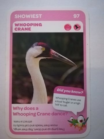 Pick n Pay South African Super Animals (Blue) - Card 97 - Whooping Crane