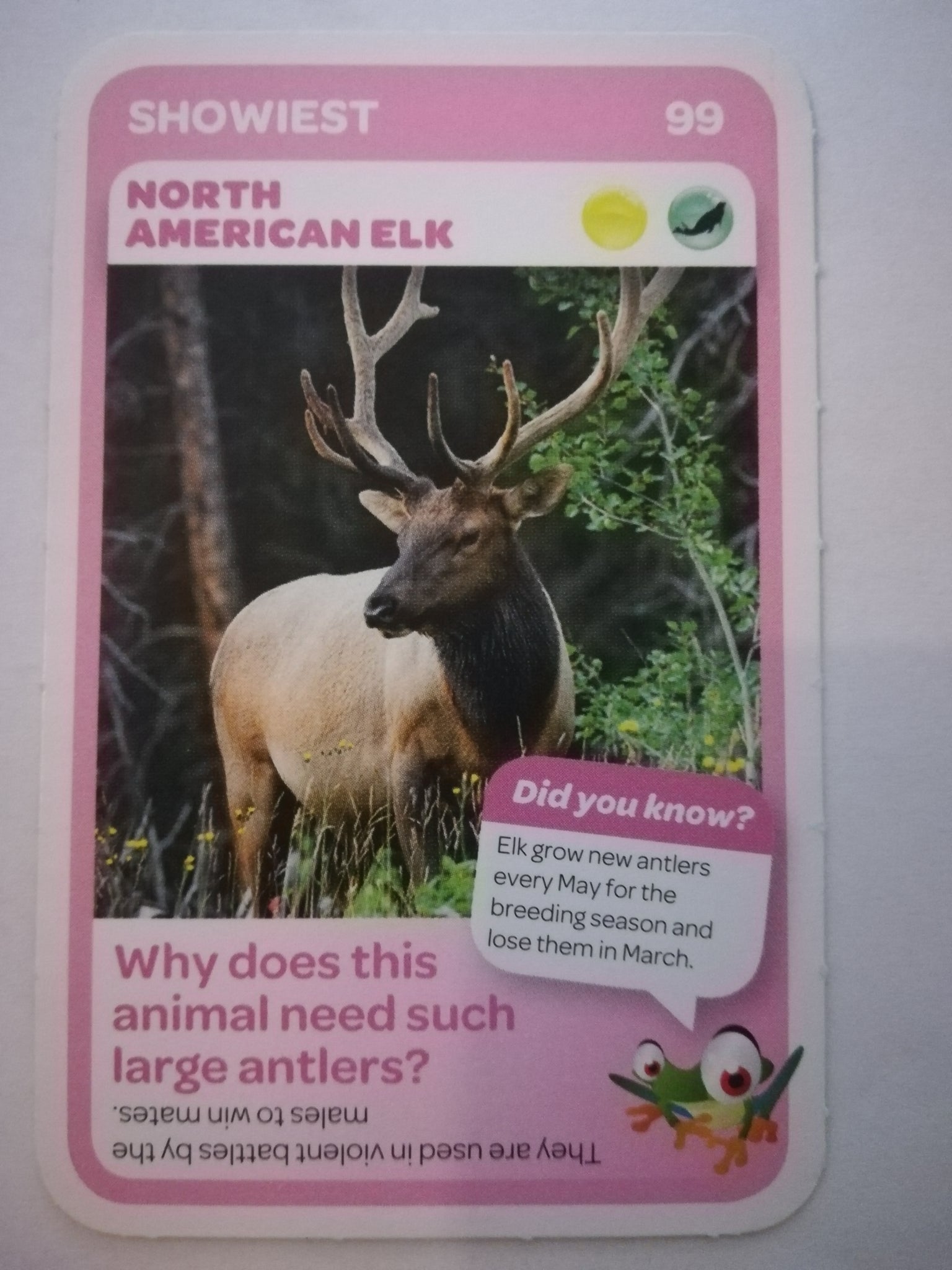 Pick n Pay South African Super Animals (Blue) - Card 99 - North American Elk