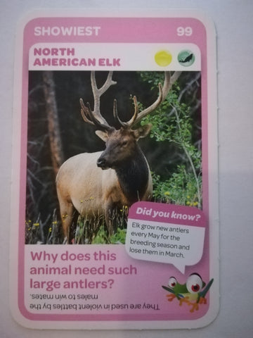 Pick n Pay South African Super Animals (Blue) - Card 99 - North American Elk