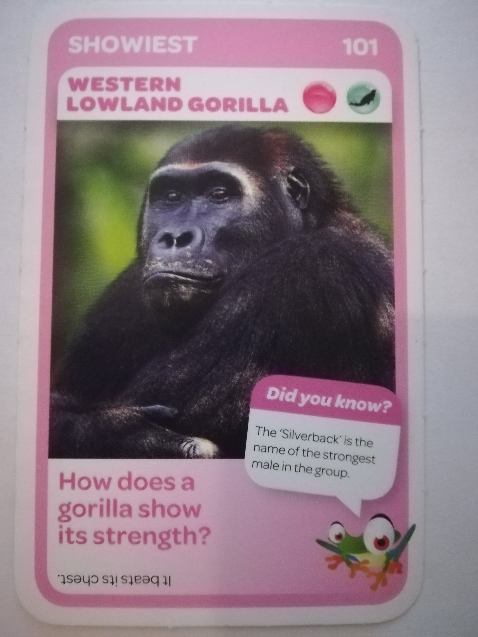 Pick n Pay South African Super Animals (Blue) - Card 101 - Western Lowland Gorilla