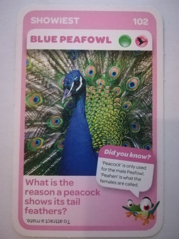 Pick n Pay South African Super Animals (Blue) - Card 102 - Blue Peafowl