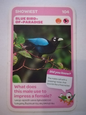 Pick n Pay South African Super Animals (Blue) - Card 104 - Blue Bird - of - Paradise