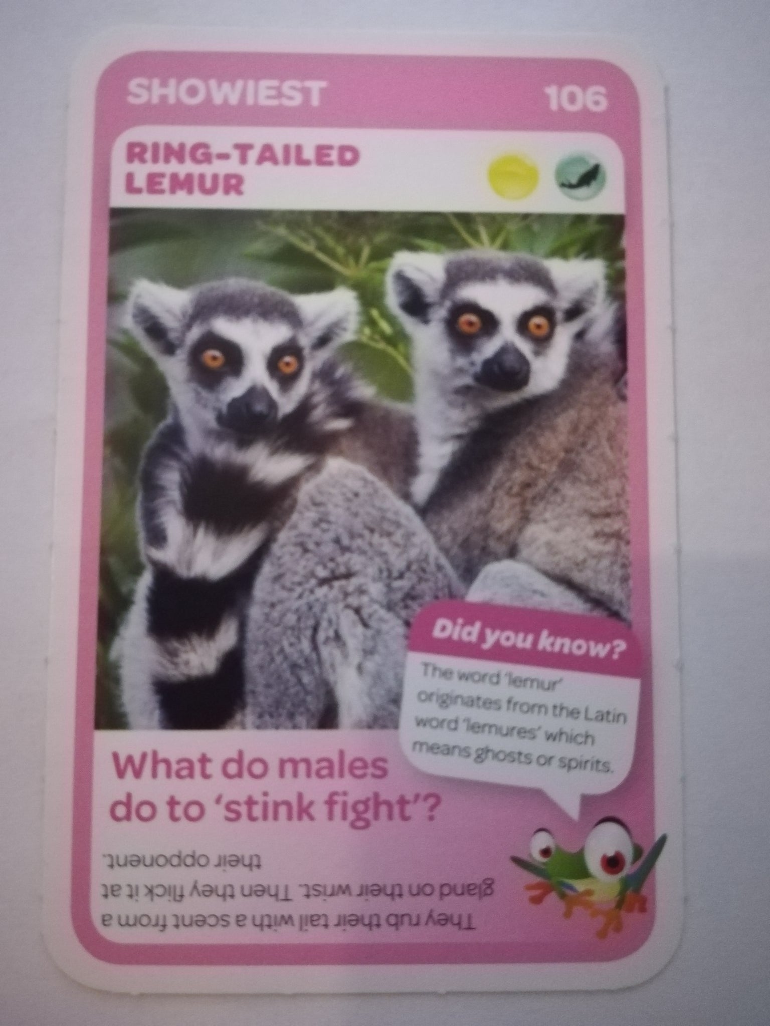 Pick n Pay South African Super Animals (Blue) - Card 106 - Ring - Tailed Lemur