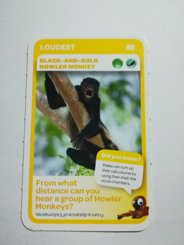 Pick n Pay South African Super Animals (Blue) - Card 85 - Black & Gold Howler Monkey