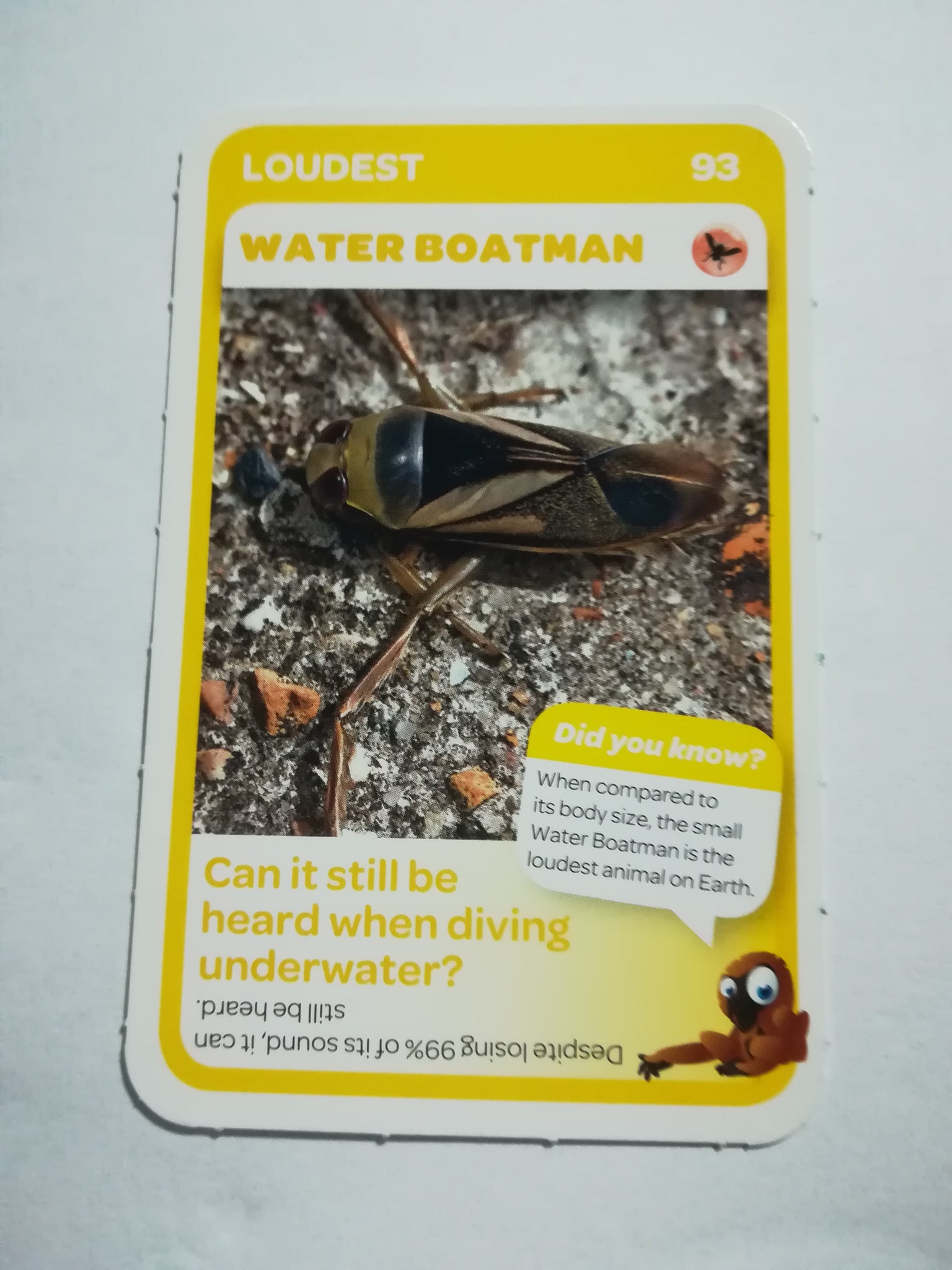 Pick n Pay South African Super Animals (Blue) - Card 93 - Water Boatman