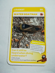 Pick n Pay South African Super Animals (Blue) - Card 93 - Water Boatman