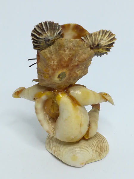 Small Cat Different Shells