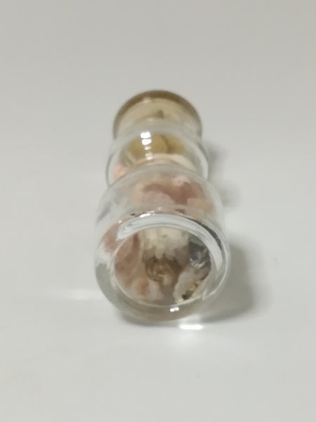 Miniature Bottle with Mini Shells & Cork Lid (Miniature, suitable for printer's tray)