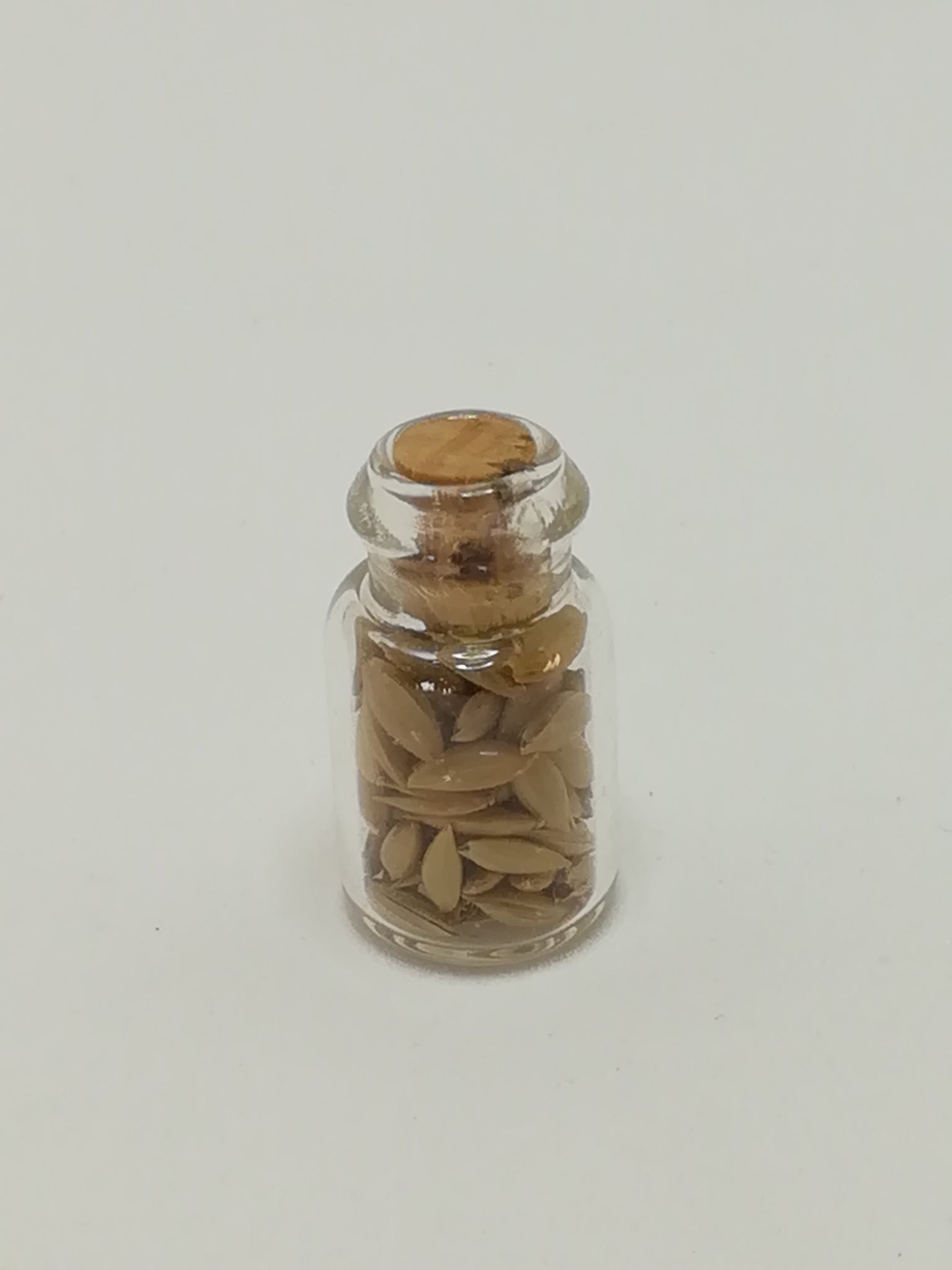 Miniature Glass Bottle Seeds (Miniature, suitable for printer's tray)